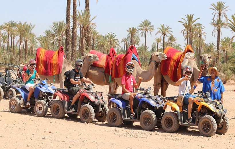 Randonnée En Quad Et Balade À Dos De Chameau À La Palmeraie Marrakech