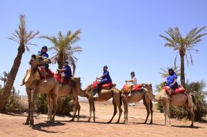 Balade Chameau Marrakech