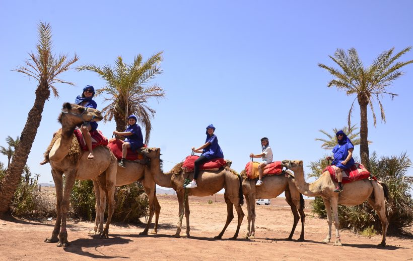 Balade Chameau Marrakech